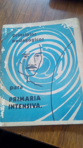 Principios Pedagógicos Para Primaria Intensiva