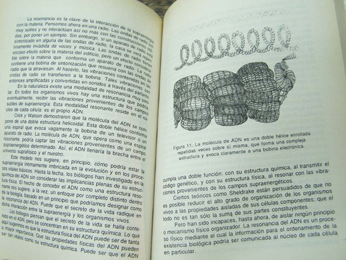 Imagen 4 de 4 de Ciencia De Los Dioses * Sobrenatural Y Materia * David Ash *
