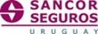 Imagen 4 de 6 de Corredor Asesor De Seguros Uruseguros