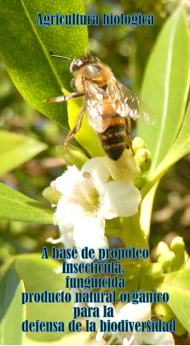 Agricultura Biologica Funguicida, Insecticida, Propoleo