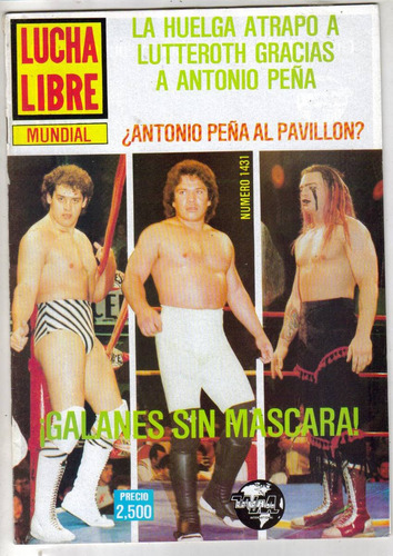 Hijo Del Santo Y Rayo De Jalisco Revista Lucha Libre Mundial