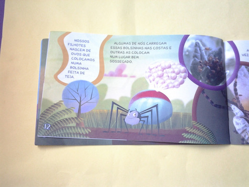 Brinde Do Habib's Livro Que Bicho E Esse A Aranha