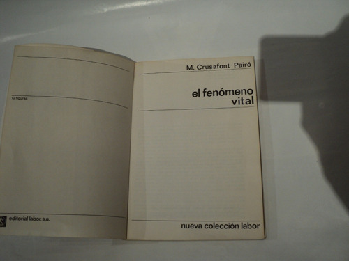El Fenómeno Vital