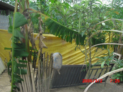 Imagem 14 de 15 de Chacara No Bairro Taquaras Prox. Cidade | 48216 - 48216