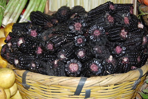 Imagem 6 de 7 de Milho Roxo Peruano - 30 Sementes Para Mudas - Preto Inca