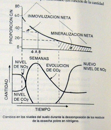 Navarro Armanazqui Arroz Manual De Cultivo 1990 