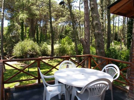 Cerca Centro Y Playa. Disponible Todo El Año. Sin Comisión Inmobiliaria