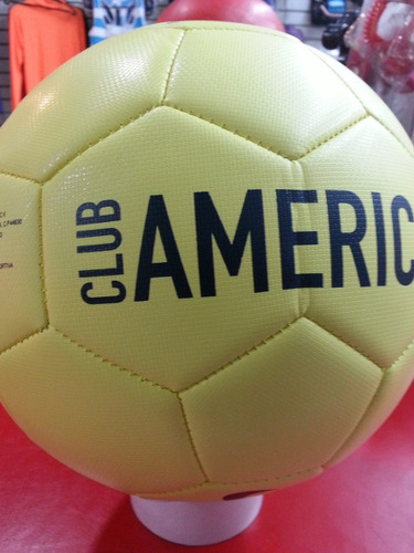 Balon Nike America 2014 Winter
