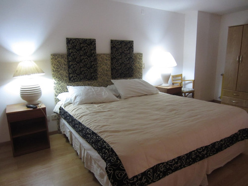 Imagen 2 de 14 de Duplex Loft Con Parrilla/precio X Dia 1 / 2 Per.+ Consultar
