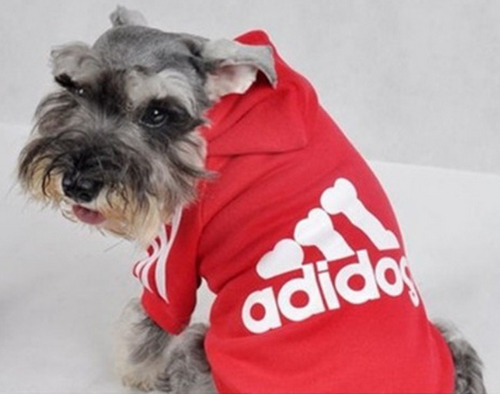 Hoodie Sweater Sudadera Playera S - 2 X L Perro Gato E4f