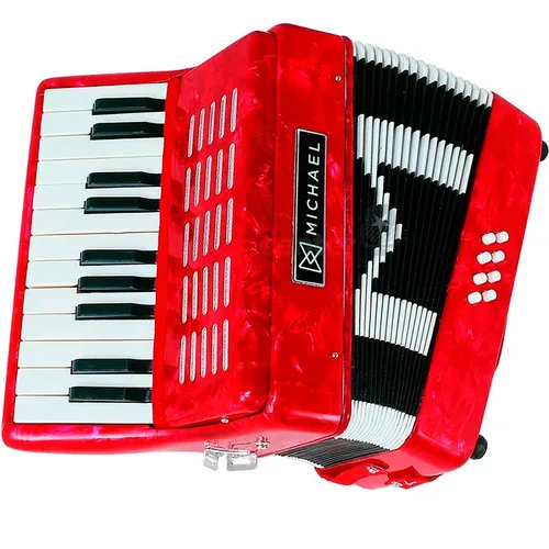Acordeon Sanfona 8 Baixos Michael Acm0822 Prd Com Bag