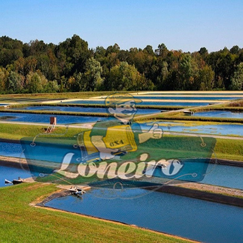 Lona Plástica Azul 25x15 Lago Tanque Peixes Açudes 300 Micra