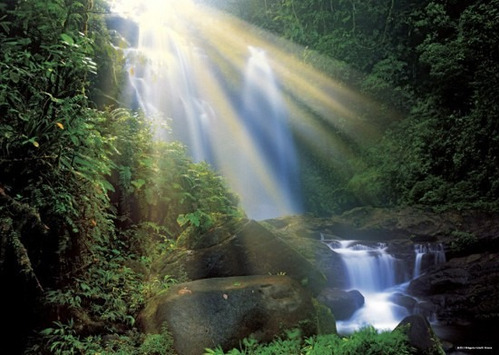 Rompecabezas Heye De 1000 Piezas: Magic Forests: Waterfall