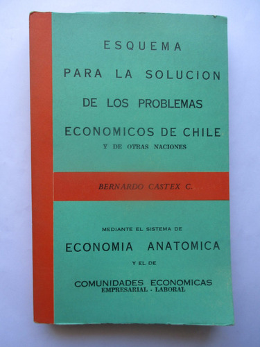 Esquema Para Soluciónar Los Problemas Económicos De Chile Y