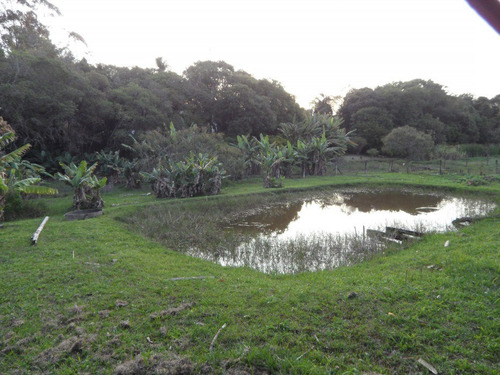 Linda Chácára C/lago Em Ibiúna; São; 5.000m2 Piscina, Churra