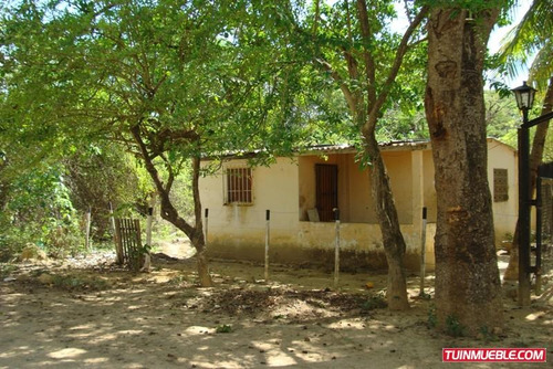 Imagen 4 de 12 de Terrenos En Venta