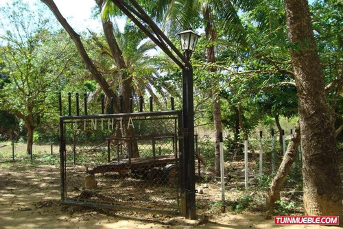 Imagen 7 de 12 de Terrenos En Venta
