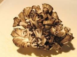 Medicina China :hongo Maitake (seco 200 Gramos )