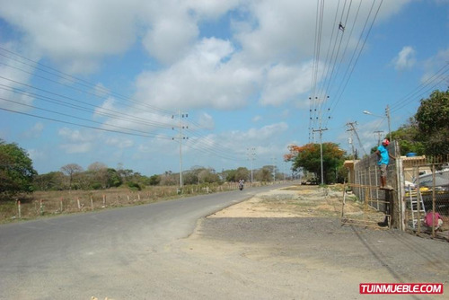 Imagen 9 de 12 de Terrenos En Venta