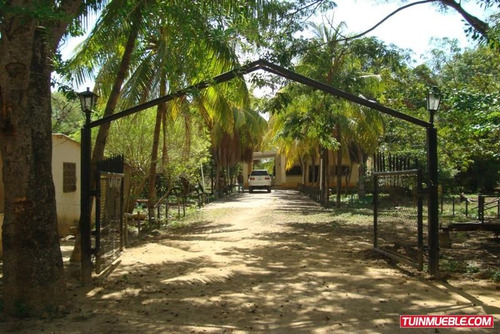 Imagen 3 de 12 de Terrenos En Venta