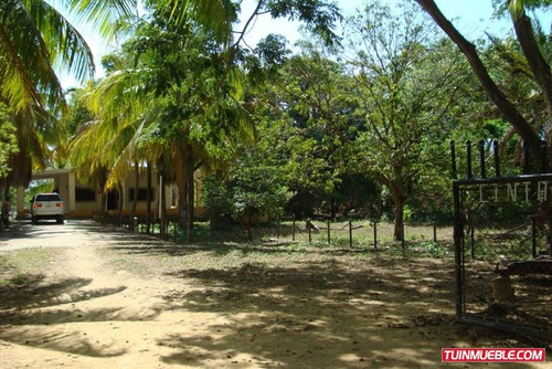 Imagen 6 de 12 de Terrenos En Venta