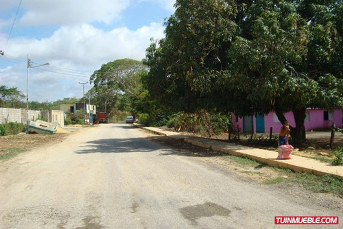 Imagen 8 de 12 de Terrenos En Venta