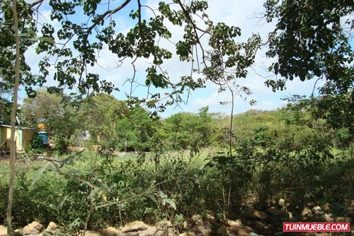 Imagen 5 de 12 de Terrenos En Venta