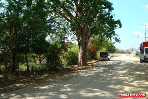 Imagen 2 de 12 de Terrenos En Venta
