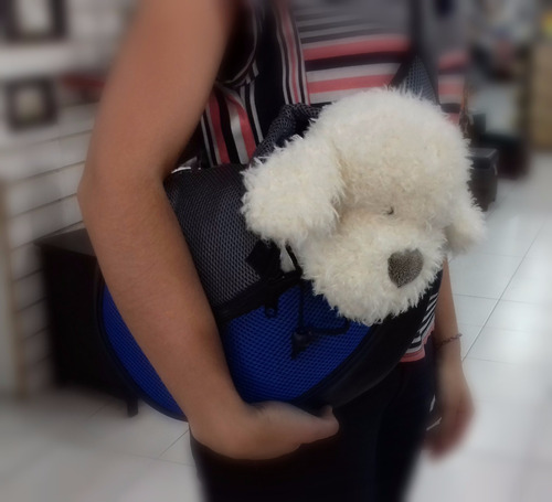 Bolso Para Llevar Mascotas