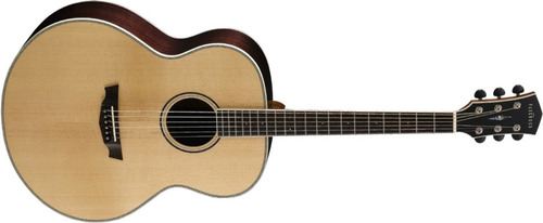 Guitarra Acústica Cort Parkwood Pw-540m Con Estuche