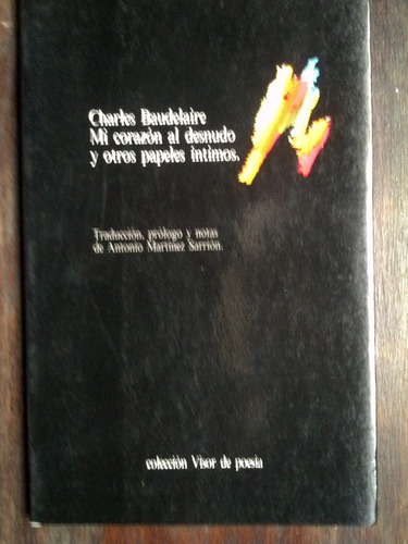 Mi Corazón Al Desnudo - Charles Baudelaire - Visor