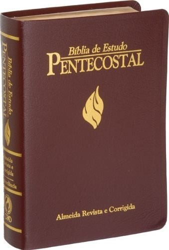 Bíblia De Estudo Pentecostal Grande + Cd Cid Moreira 9 Cds