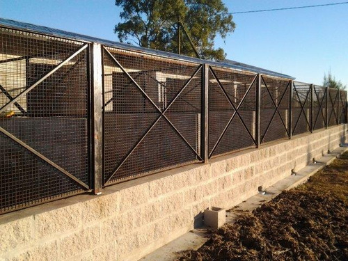 Club De Campo Canino, Razas Medianas