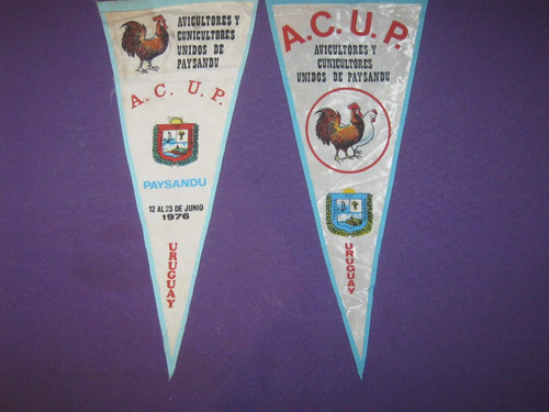 Banderin Avicultores Y Cunicultores Unidos De Paysandu 1976