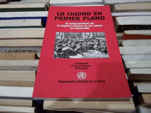 La Ciudad En Primer Plano Higiene Urbana Tabibzadeh Y Otros