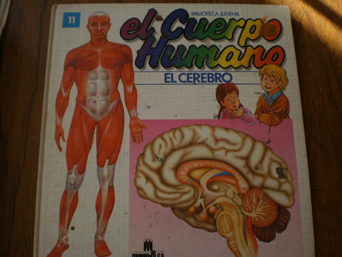 El Cuerpo Humano El Cerebro #11, Multilibro S.a.