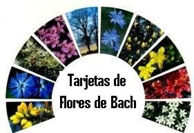 Tarjetas Guia De Flores De Bach Envio Gratis! | Meses sin intereses