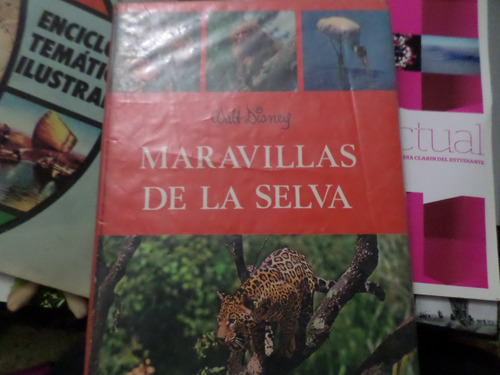 Las Maravillas De La Selva, Original De  Walt Disney