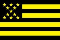 Bandera Del Club Atlético Peñarol