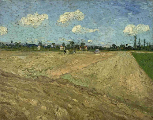 Lienzo Canvas Arte Campos Arados Vincent Van Gogh 50x64