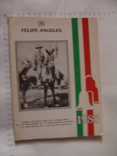 Libro Felipe Angeles 1985, 87 Paginas