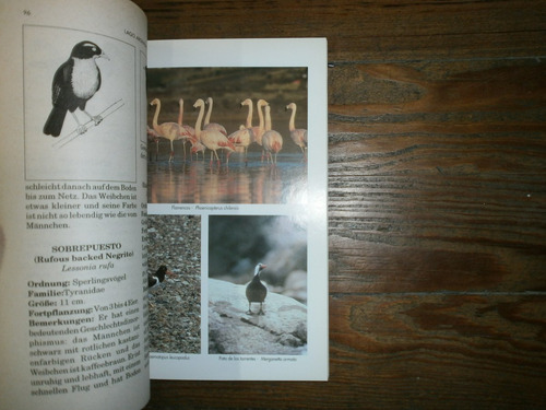Handbuch Lago Argentino & Perito Moreno Gletscher M A Alonso (Usado)