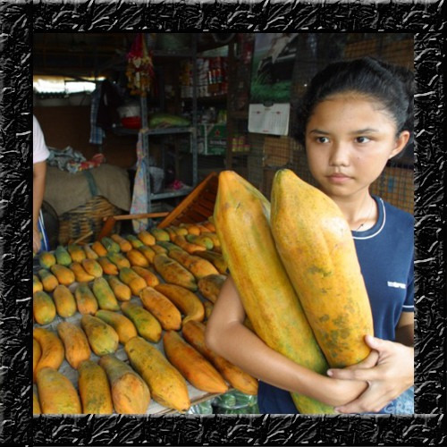 Mamão Formosa Gigante Max --- Sementes Frutas Para Mudas