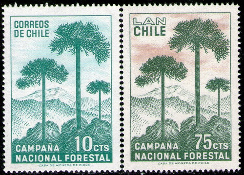 Chile Serie Con Aéreo X 2 Sellos Nuevos Forestación Año 1967