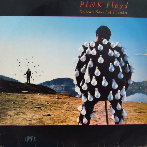 Lp - Pink Floyd - Delicate Sound Of Thunder Vinil Raro Duplo