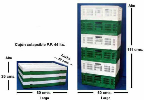 Caja Plegable Para Fruta Apilable Cosechera