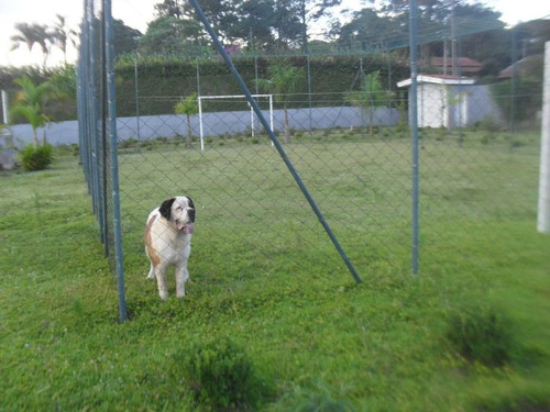 Imagem 3 de 15 de Bela Chácara Em Condomínio | 45068 - 45068