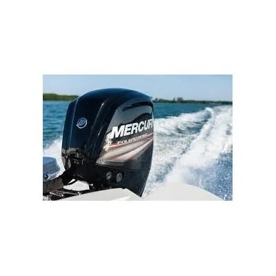 Mercury 60 Hp 4 Tiempos Entrega Inmediata Es Dólar Billete