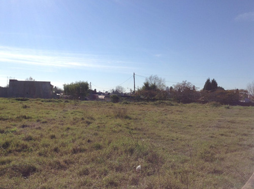Venta Terreno Comercial, Vicente Oliden Lomas De Zamora