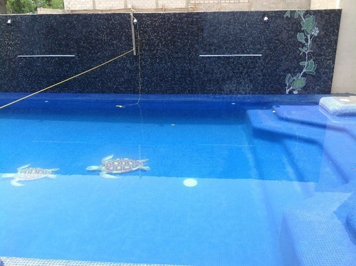 Mosaico Veneciano Figura Tortuga Aletas Largas De 60 Cms,para Alberca